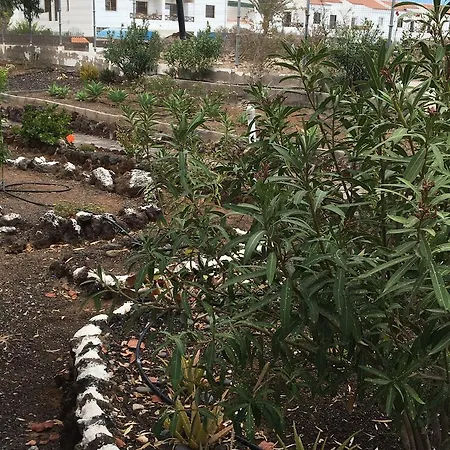 Appartamento Res El Chaparral